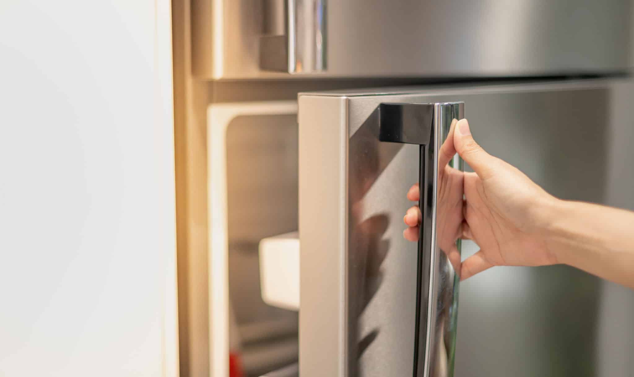 Refrigerator Cleaning