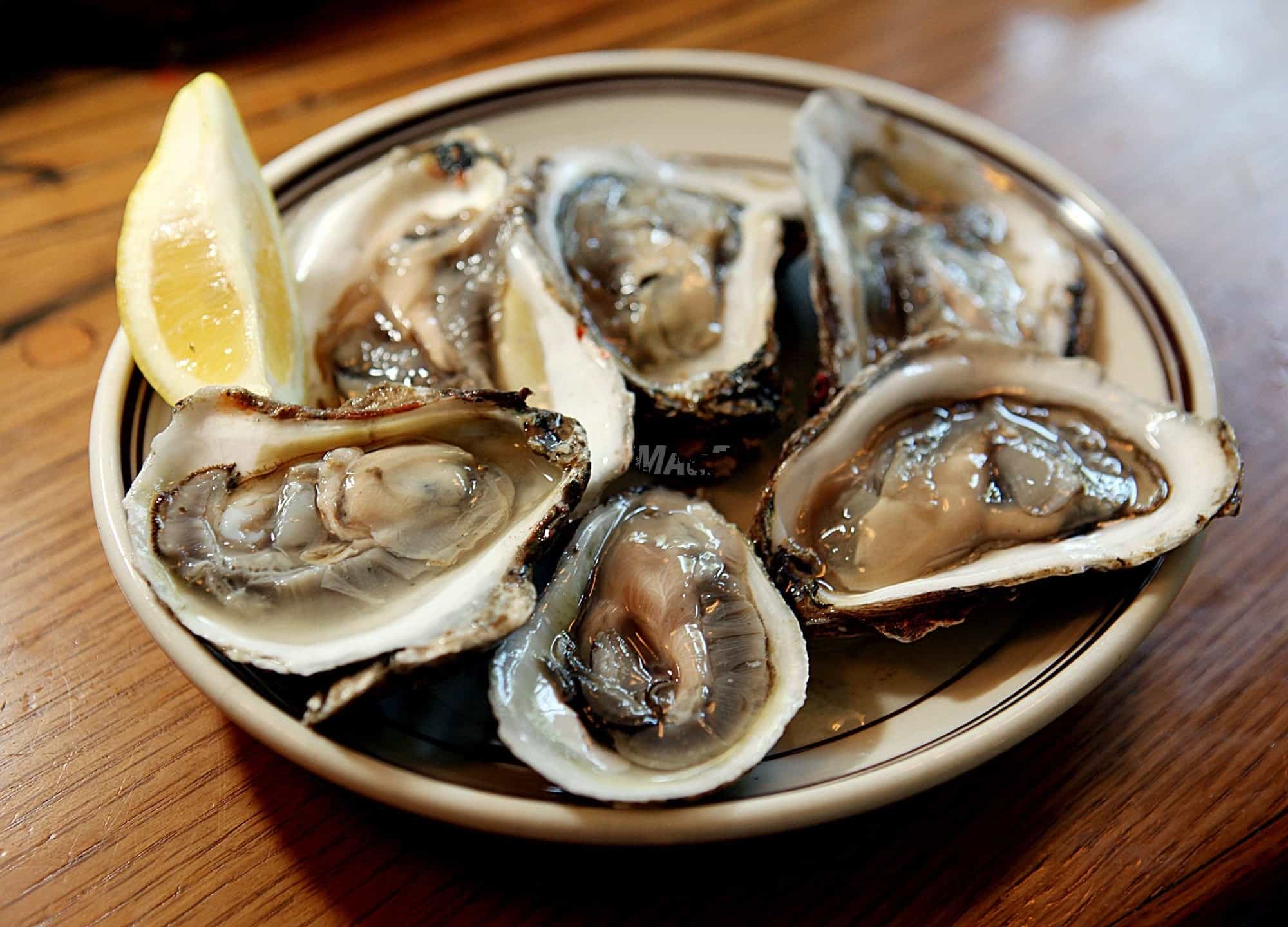 Oysters at Union Oyster House, Boston MA