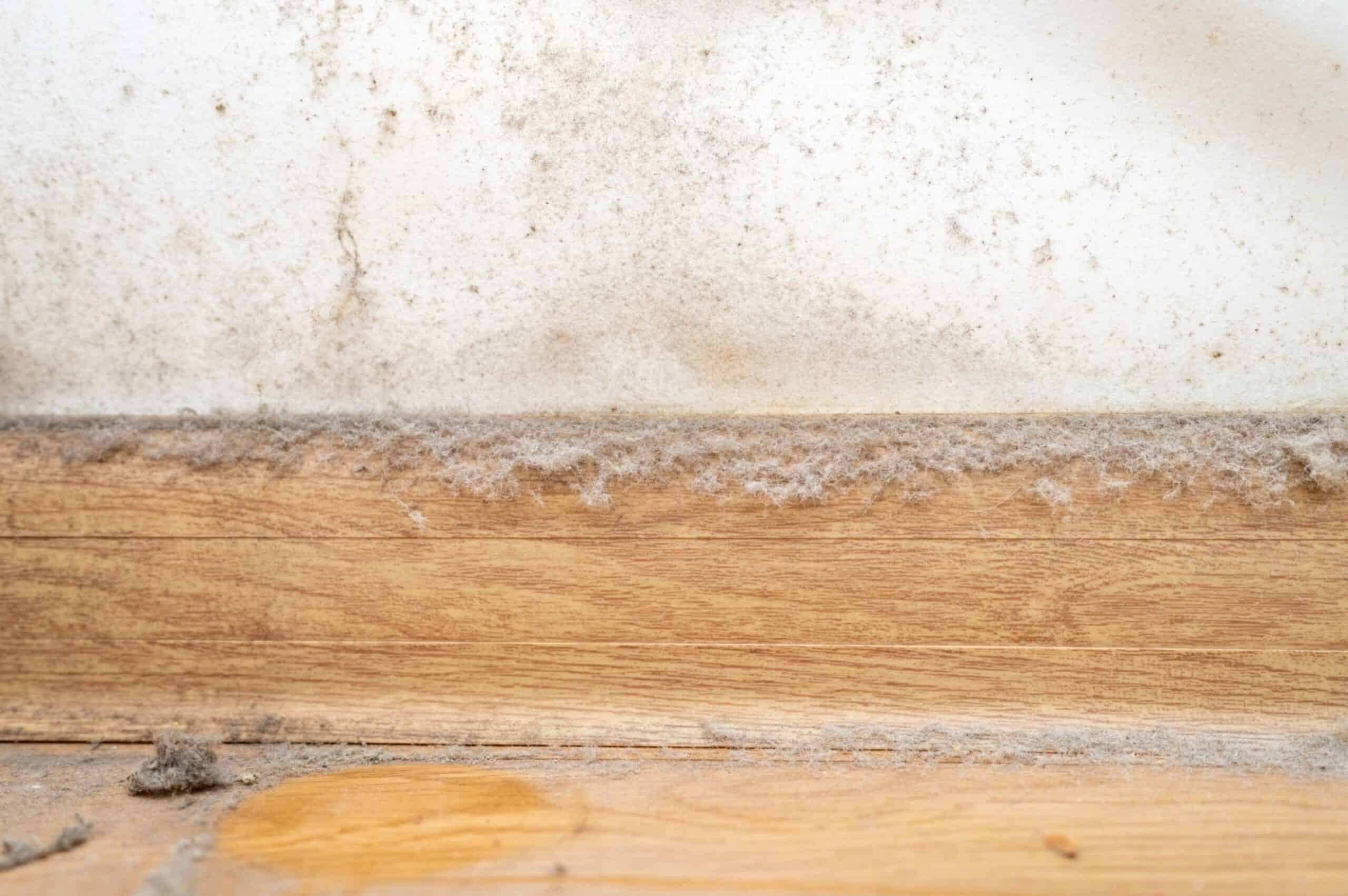 Layers of dust on the baseboards