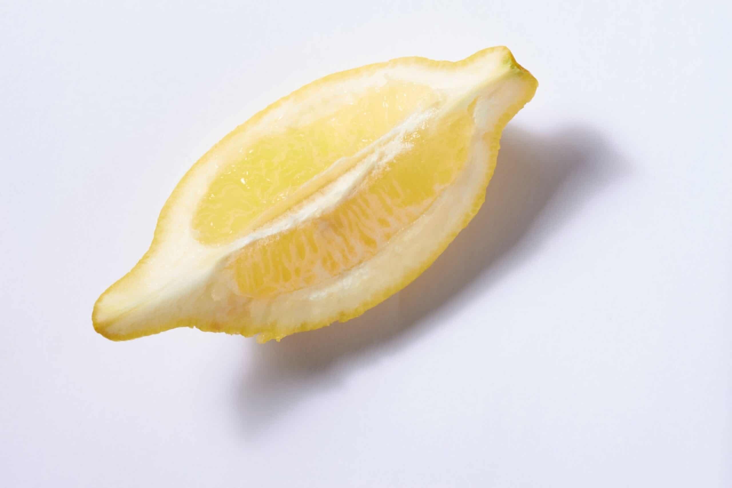 A piece of lemon on a white background
