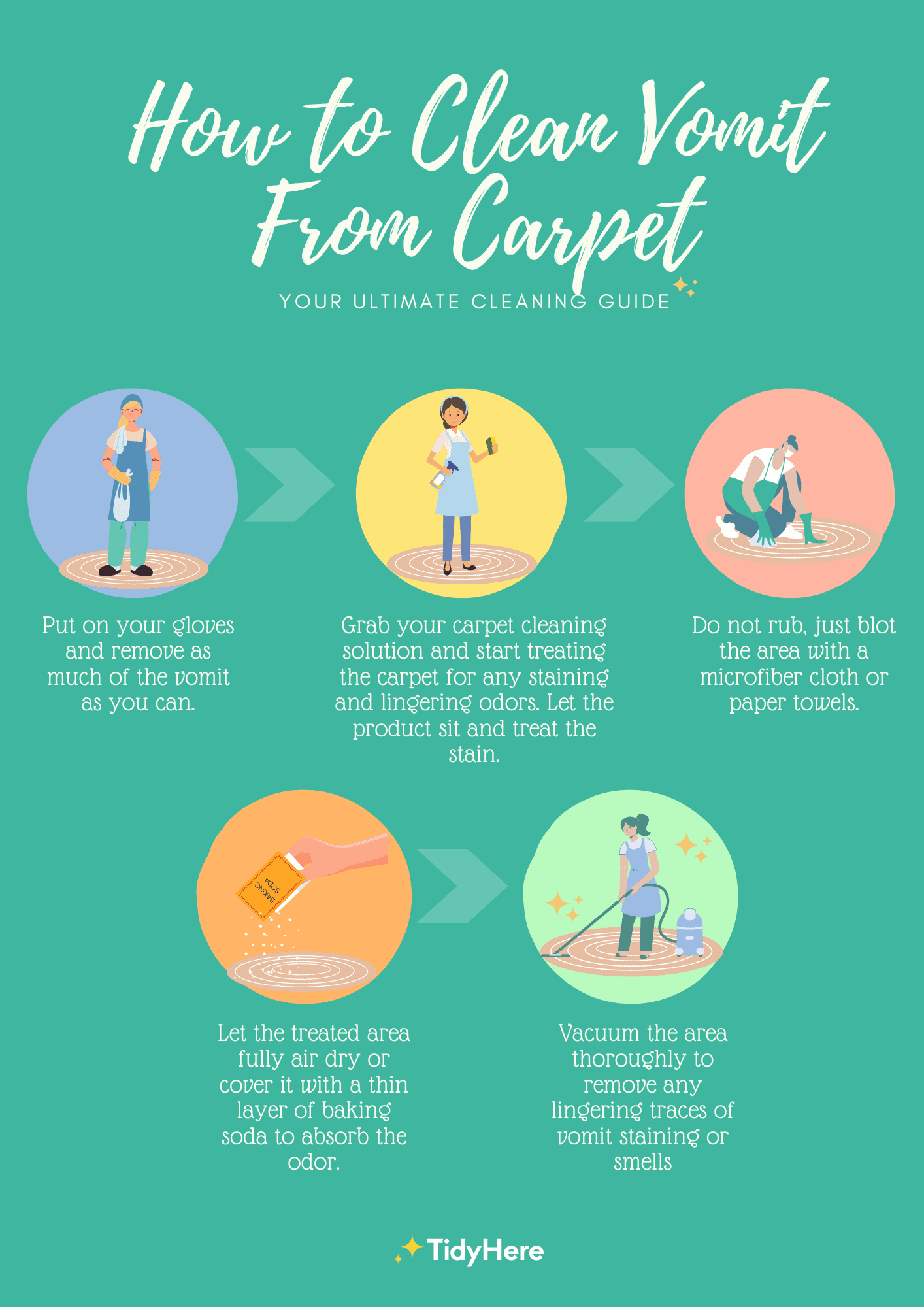 How to Clean Vomit From Your Carpet Tidyhere Infographic
