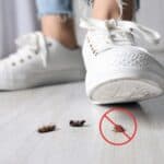8 Best Home Remedies to Get Rid of Roaches Naturally