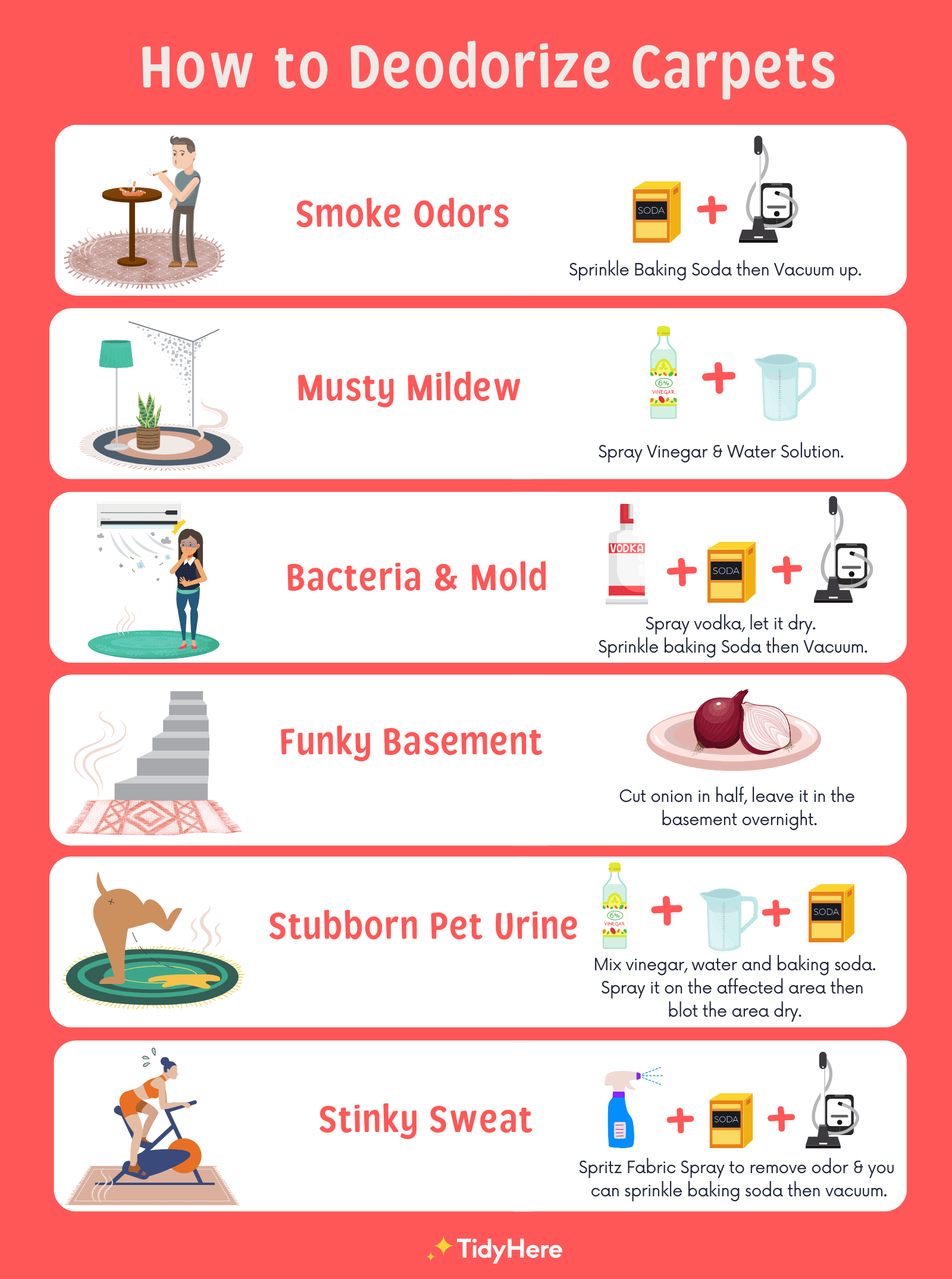 How to Deodorize Carpet Like a Pro Tidyhere Infographic
