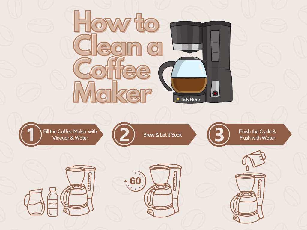 How to Clean a Coffee Maker TidyHere Infographic