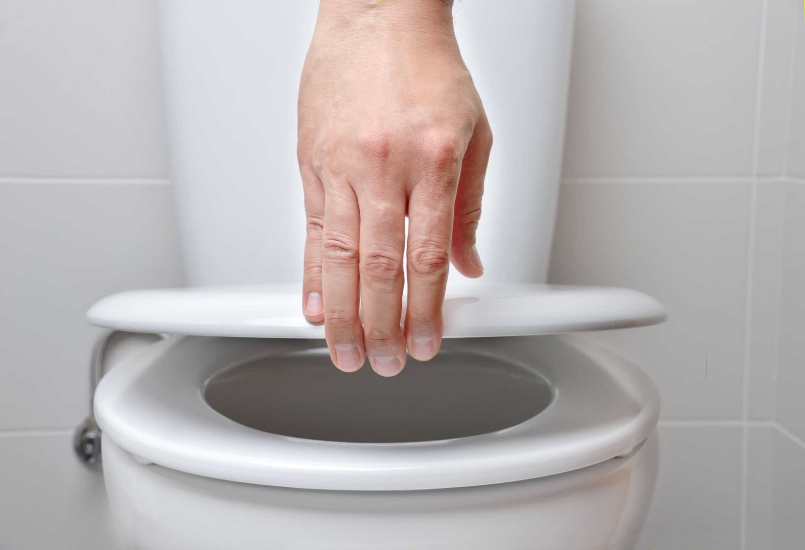Best Way to Clean and Disinfect Toilet Tidyhere Image of a Hand Closing Toilet Lid