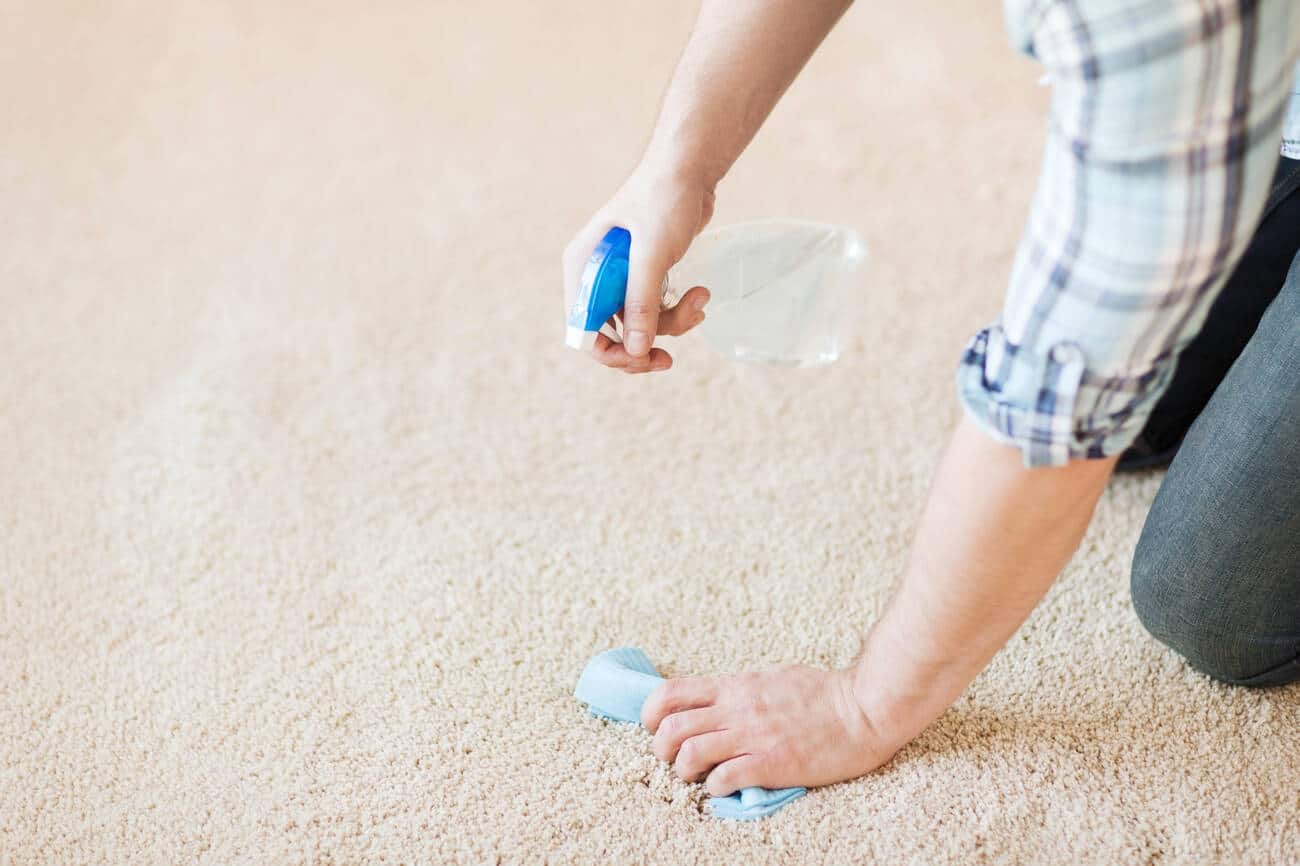 How to Clean Your Carpet Like a Pro Tidyhere Image of a Man Deodorizing Carpet with Vinegar