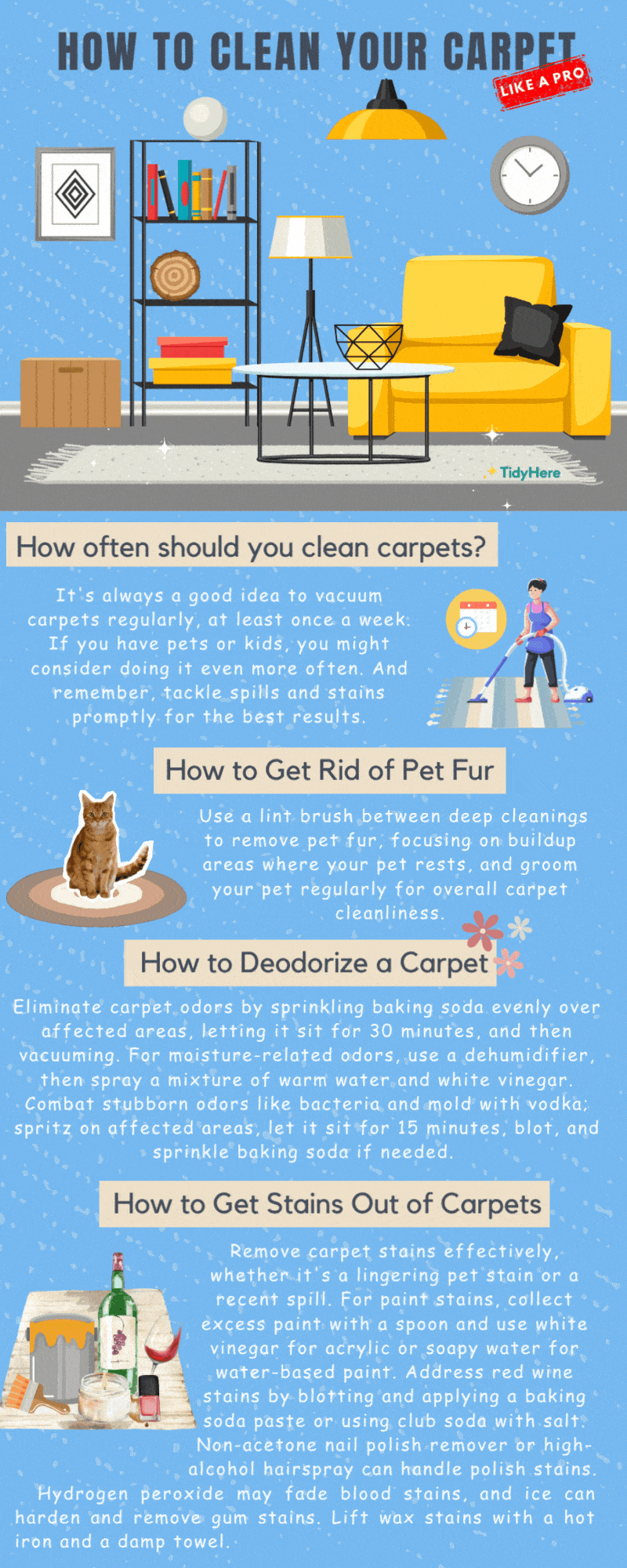 How to Clean Your Carpet Like a Pro Tidyhere Infographic