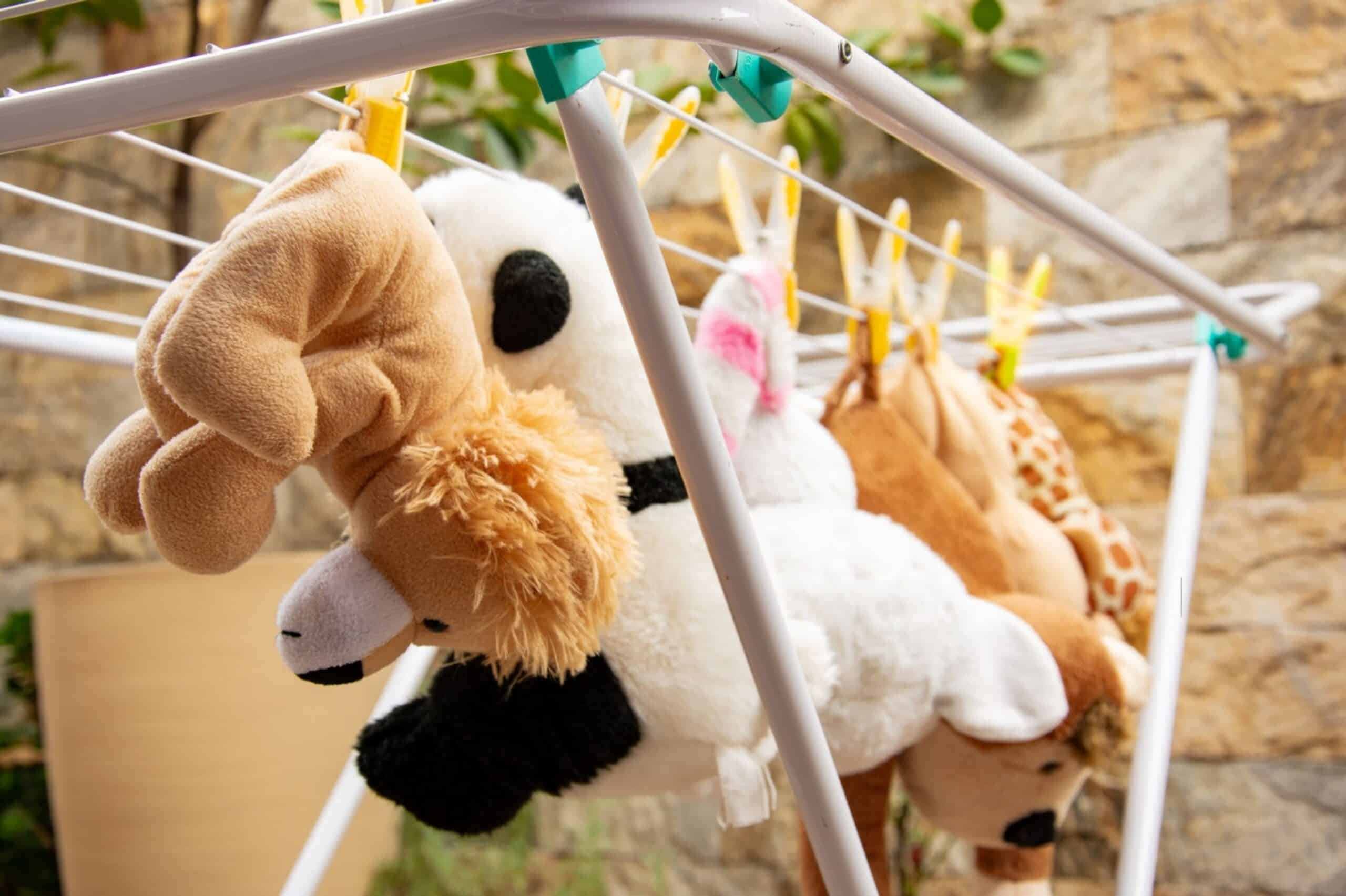 How to Wash Stuffed Animals Tidyhere Image of Stuffed Animals Drying on the Clothesline
