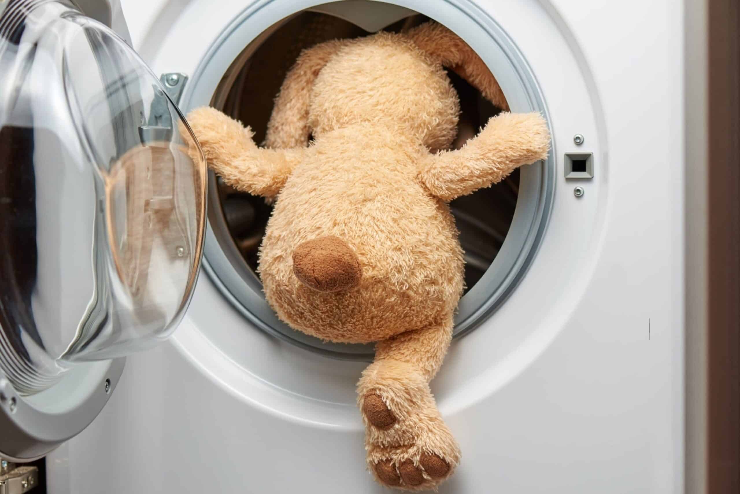 How to Wash Stuffed Animals Tidyhere Image of a Stuffed Toy Rabbit with His Back in the Washing Machine