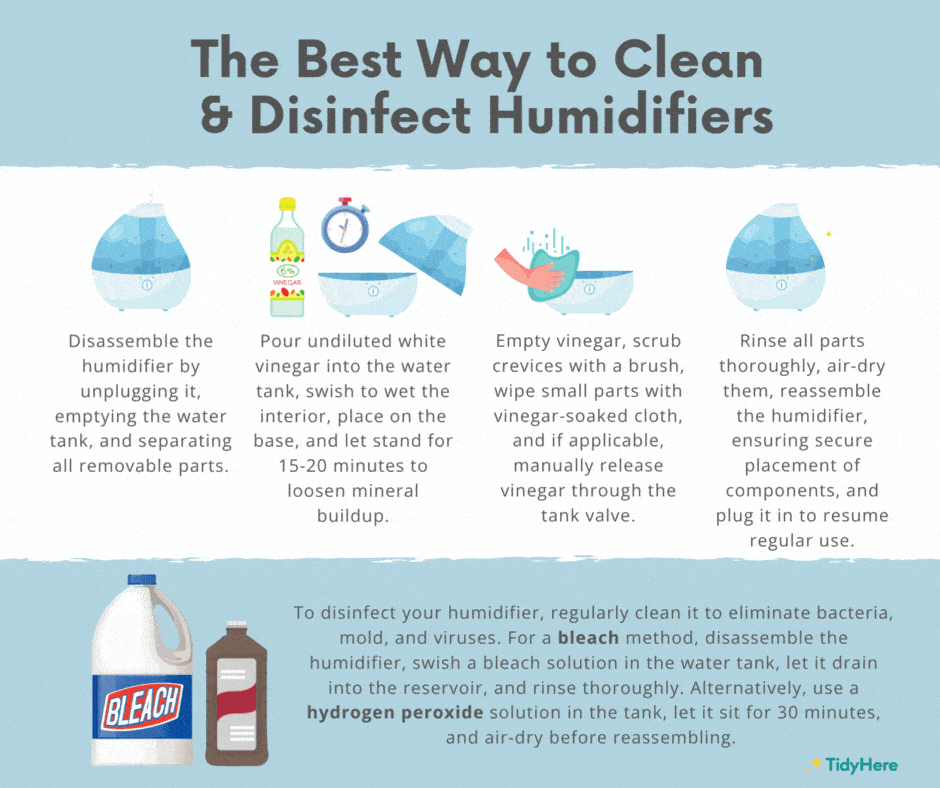 The Best Way to Clean and Disinfect Humidifiers Tidyhere Infographic