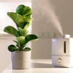 The Best Way to Clean and Disinfect Humidifiers