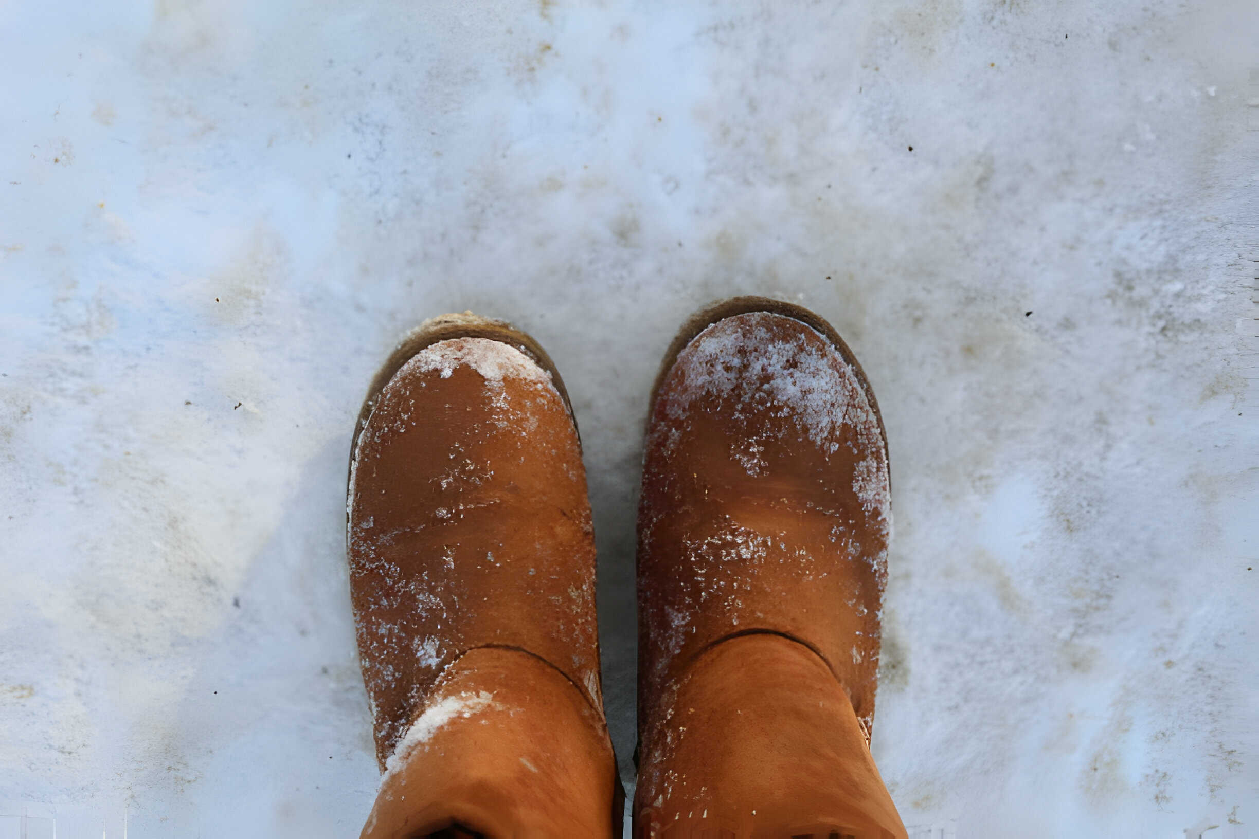 How to Clean Uggs Tidyhere Image of an Ugg Boots in the Snow