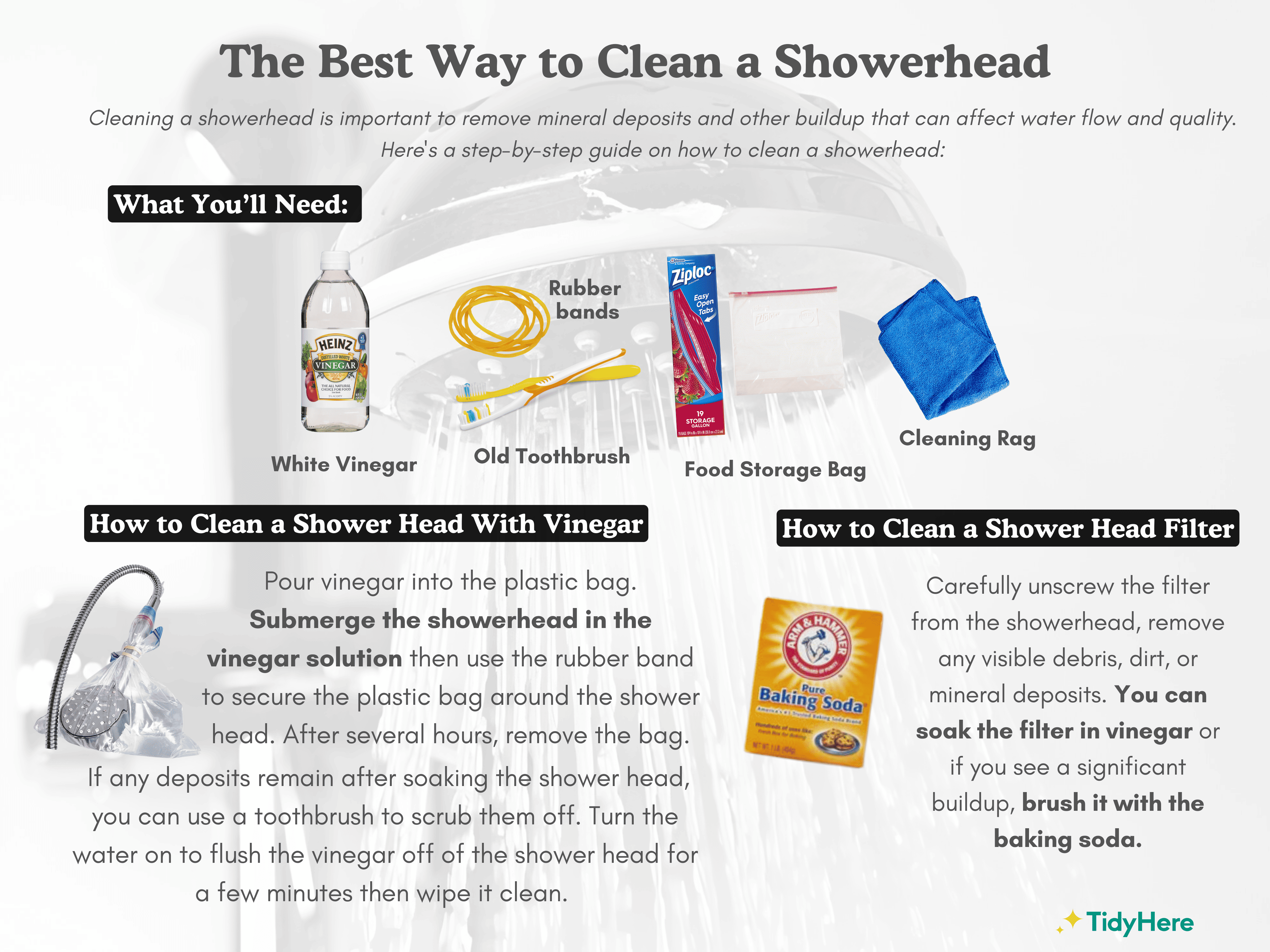 The Best Way to Clean a Showerhead Tidyhere Infographic