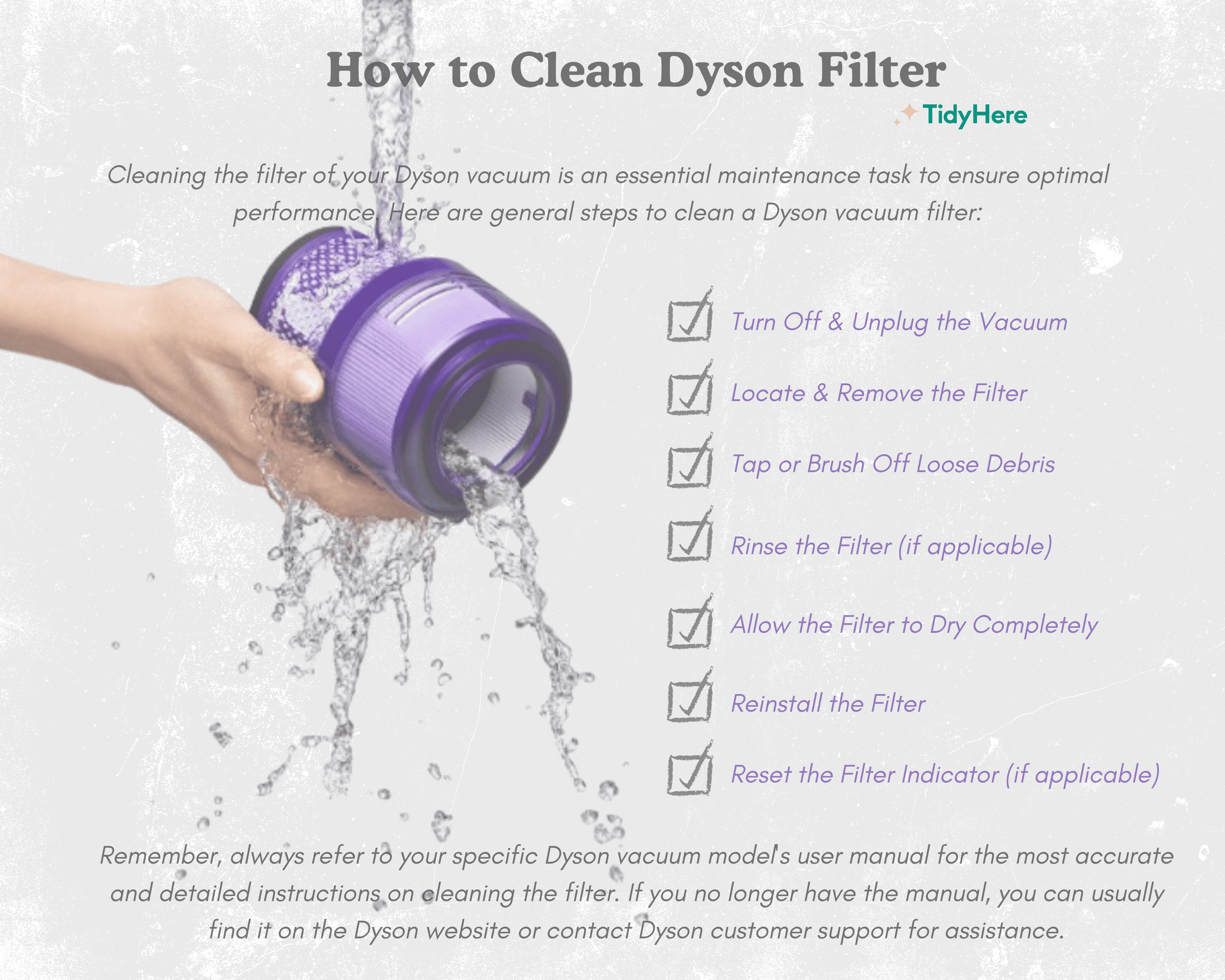 How to Clean Dyson Filter Tidyhere Infographic