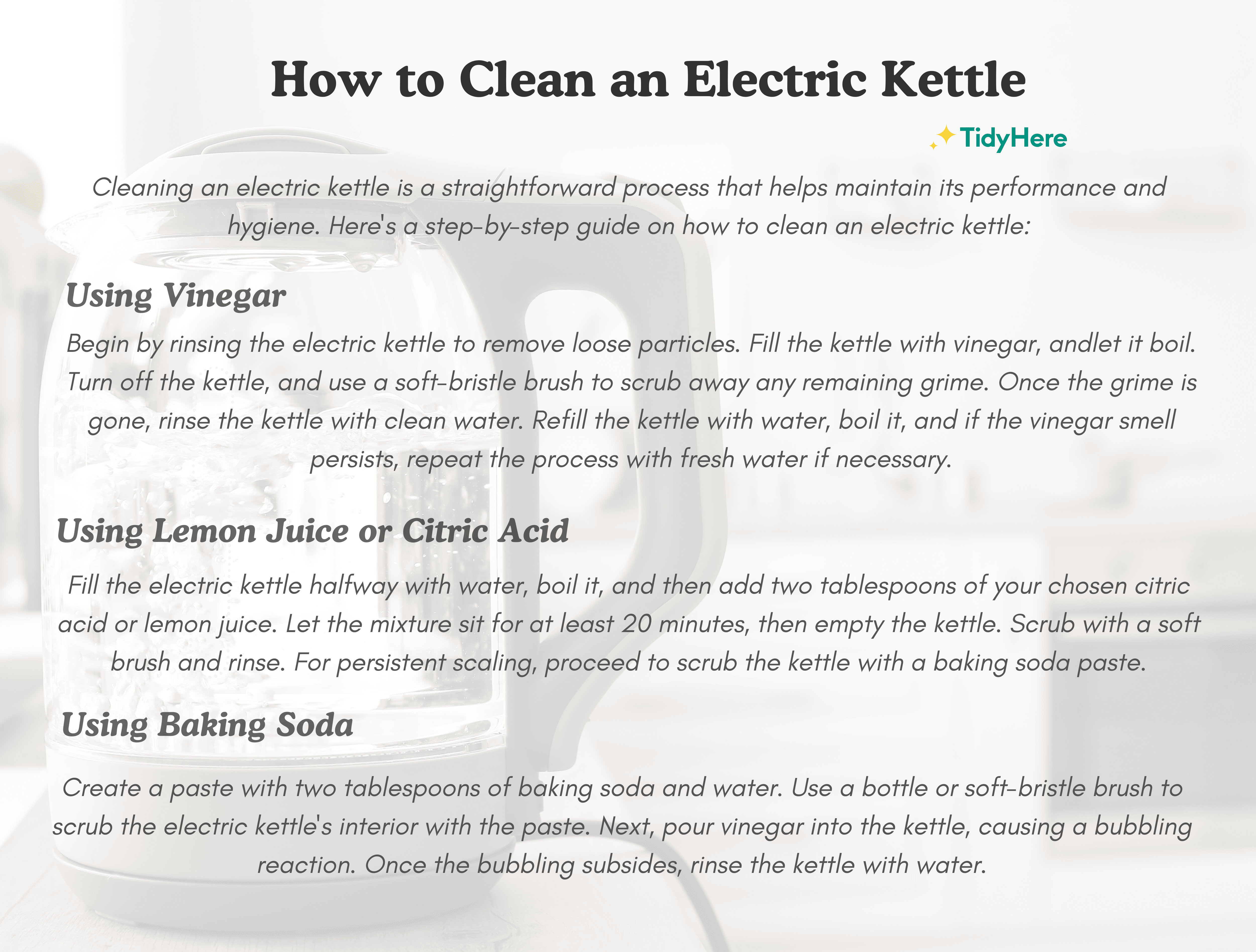 How to Clean an Electric Kettle Tidyhere Infographic