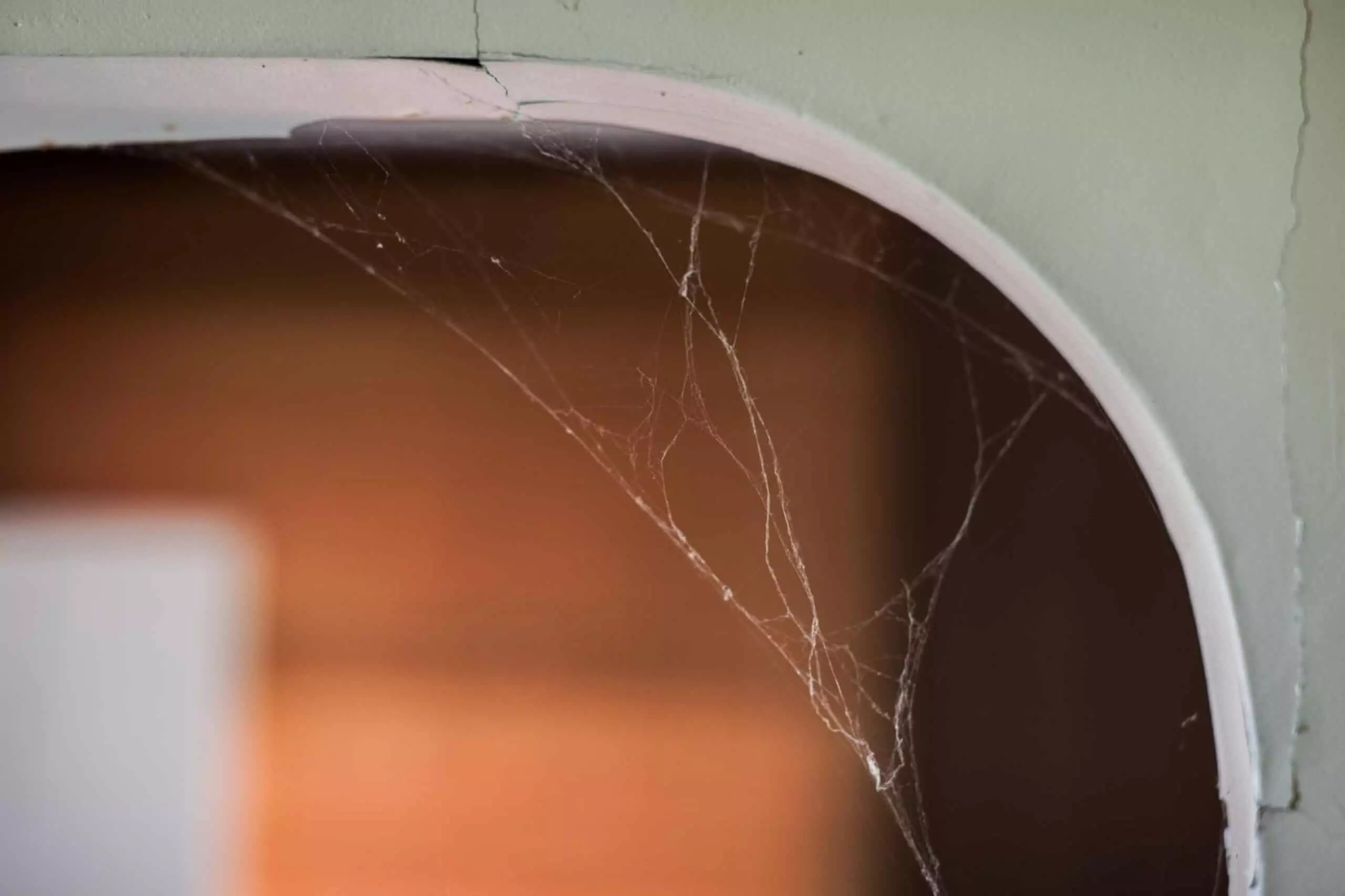 Cobwebs in Corner